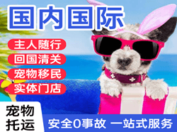 左旗巴彦浩特空运代理国际宠物托运 【国